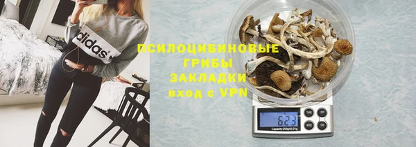 амф Зерноград