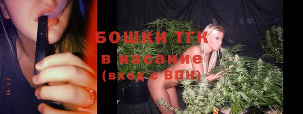 индика Зеленокумск