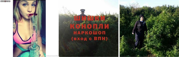амф Зерноград