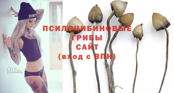 индика Зеленокумск