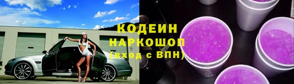 индика Зеленокумск