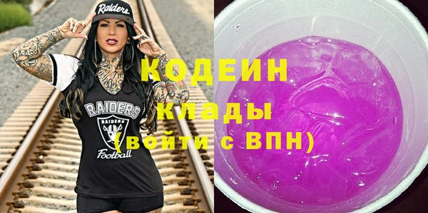 индика Зеленокумск