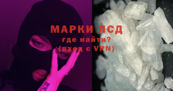 индика Зеленокумск
