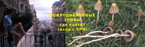 бошки Зеленодольск