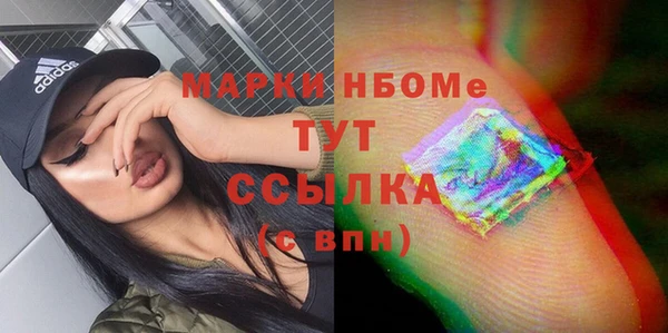 индика Зеленокумск