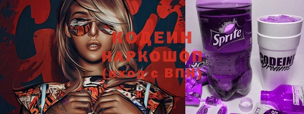 индика Зеленокумск