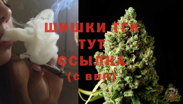 амф Зерноград