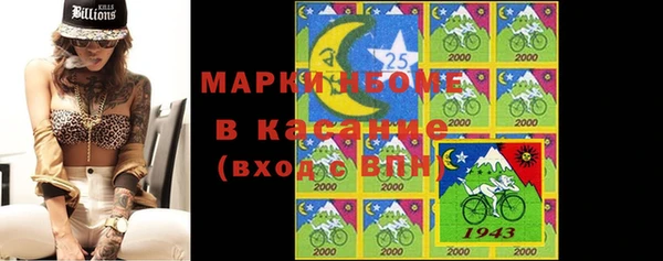 индика Зеленокумск