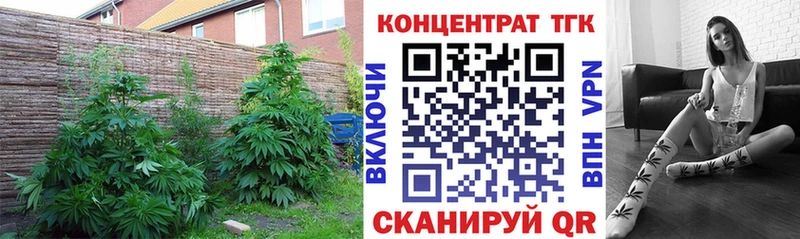 ТГК Wax  Купить закладки  Злынка 