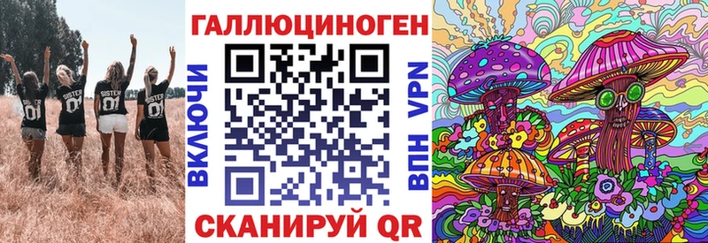 Купить где  Злынка  Псилоцибиновые грибы Magic Shrooms 